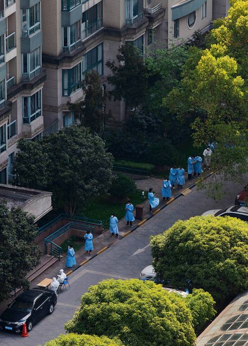 基本药物制度实施总结_国家基本药物制度实施_