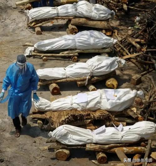 她心怀感恩勇敢对抗命运 河北疫情源头多种可能待查